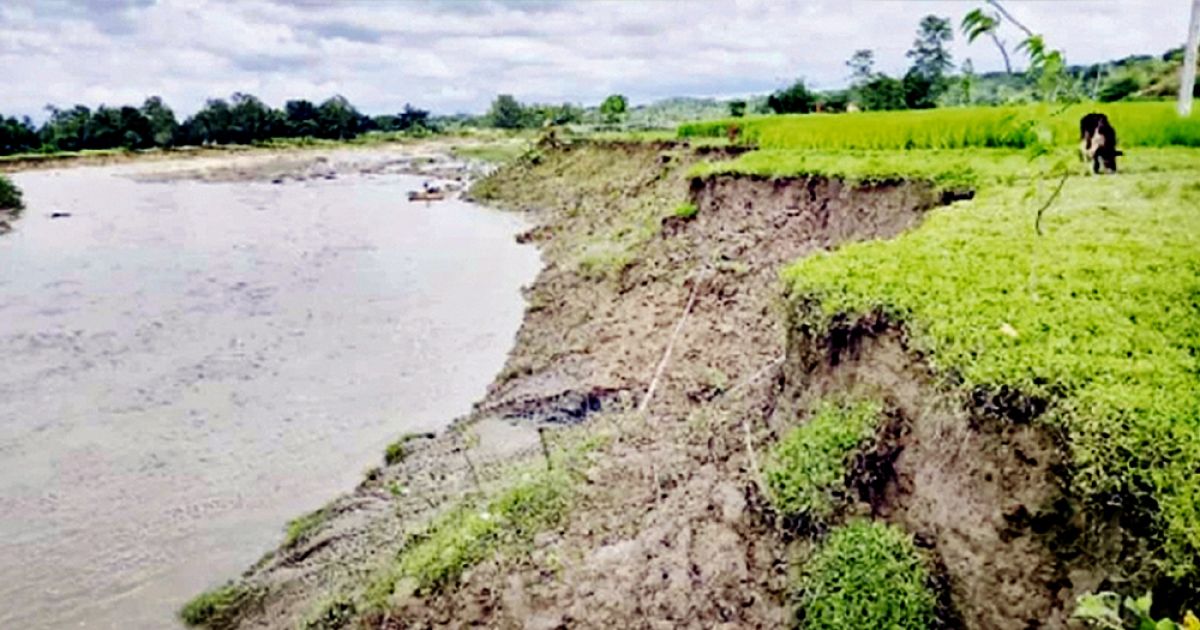 রাউজানে সর্তার ভাঙন আতঙ্কে মানুষ!