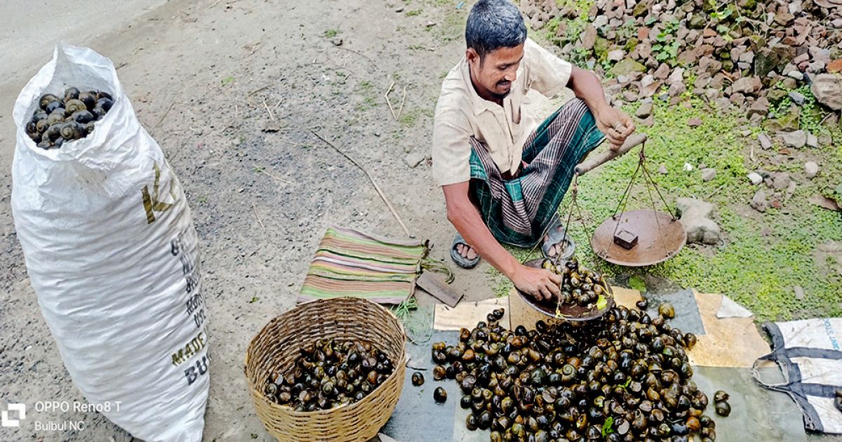 The-balance-of-the-environment-in-Keshabpur-is-the-fear-of-disaster