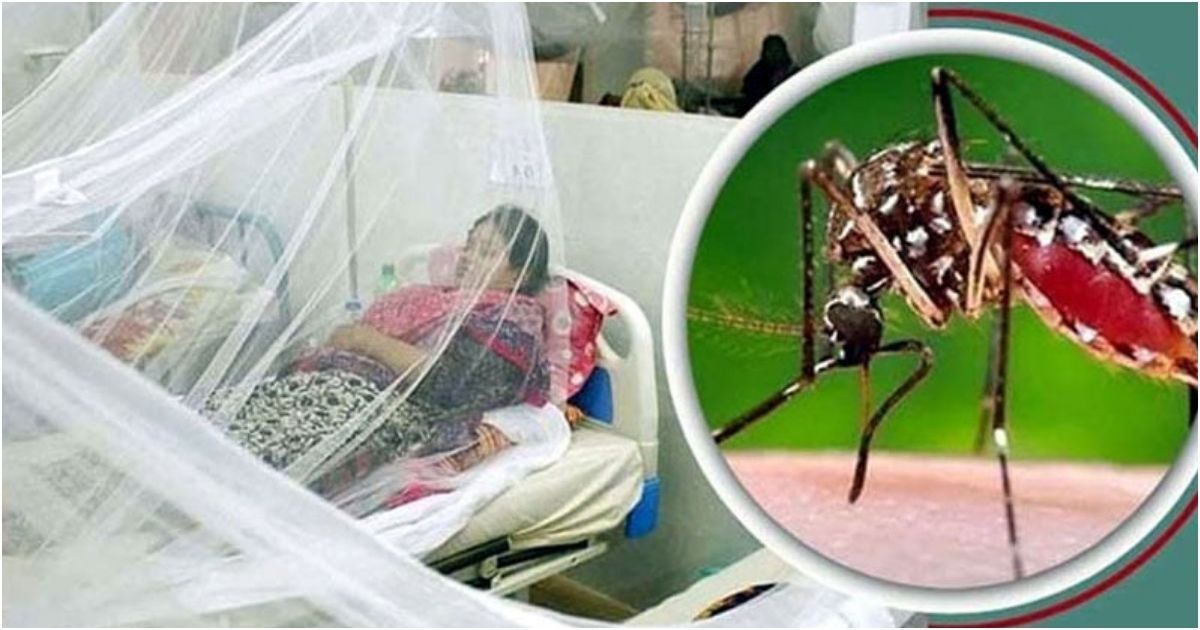 Three-people-were-admitted-to-the-hospital-in-Dengue