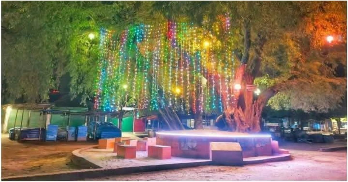Tetulias-historic-Tetul-tree-administration-has-decorated-the-new-decoration