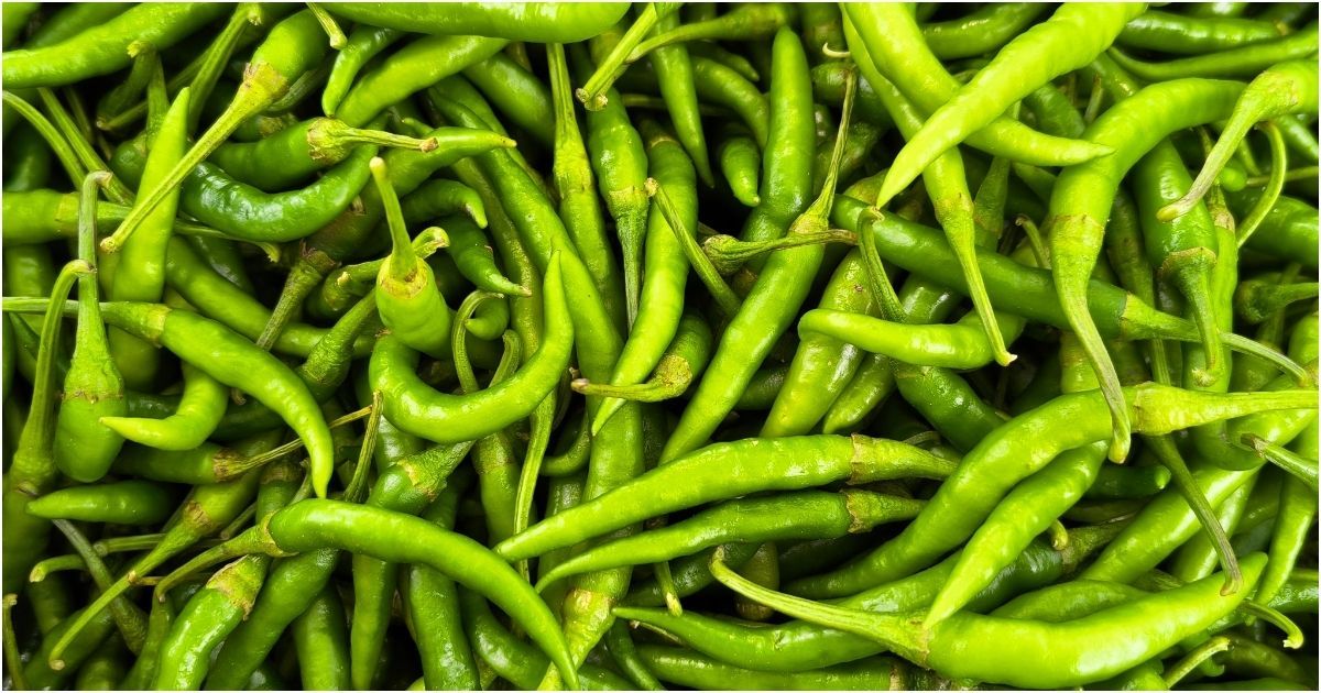 One-day-the-price-of-raw-chilli-has-dropped-in-half