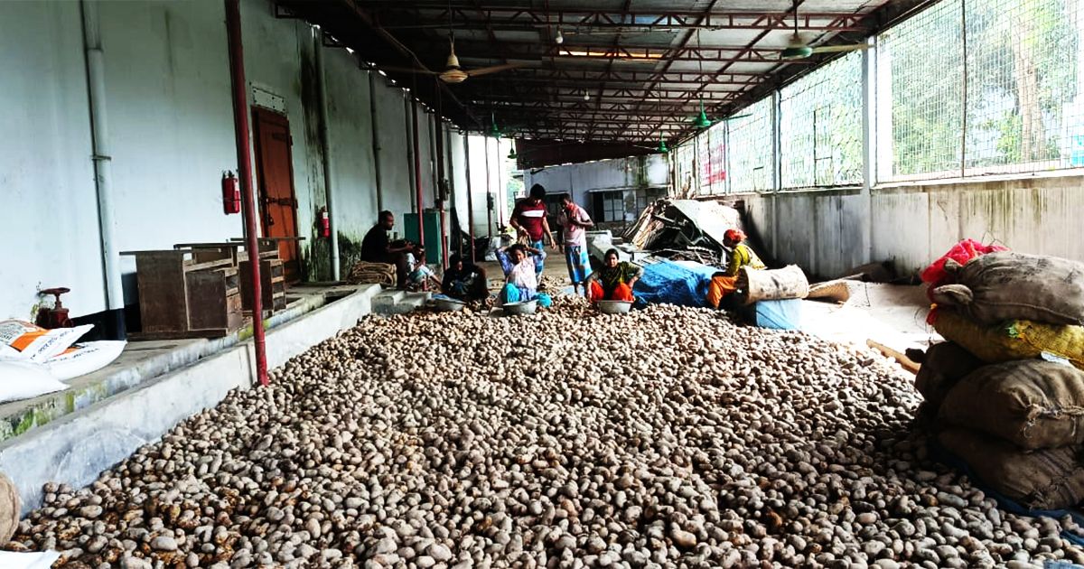 Warehouse--filled-potato-buyer-disappointed-farmers-in-the-vacuum