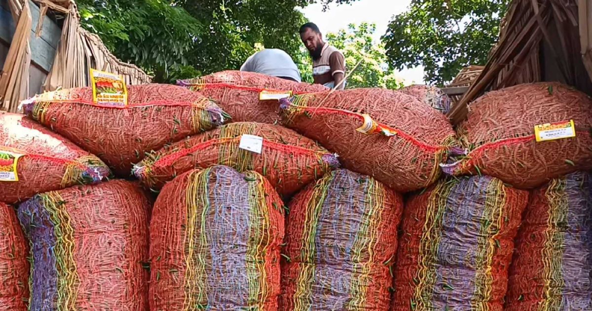হিলি-বন্দরে-কাঁচামরিচের-আমদানি-বাড়ায়-দাম-কমেছে