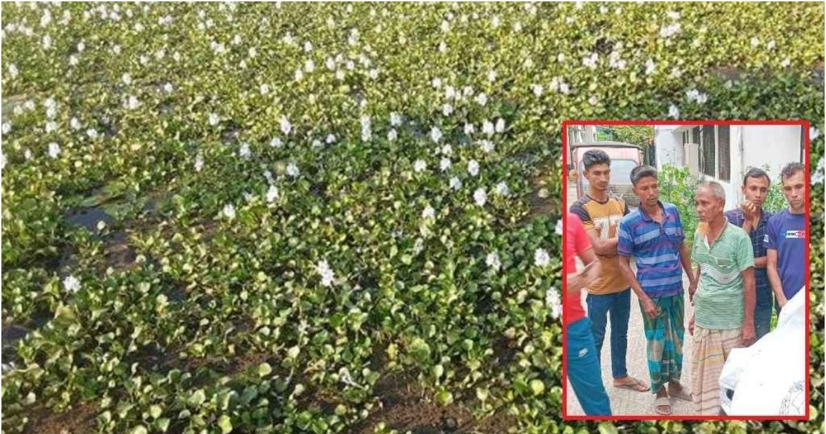 The-van-drivers-body-was-recovered-from-Doba-two-days-after-the-disappearance-of-Narail