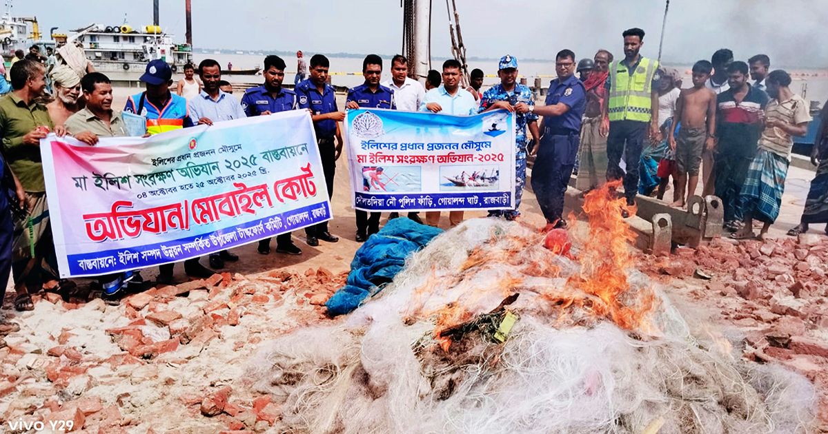 Mother-hilsa-to-protect-the-auction-nets-after-seizing-the-boat-in-Padma-to-protect-the-hilsa 