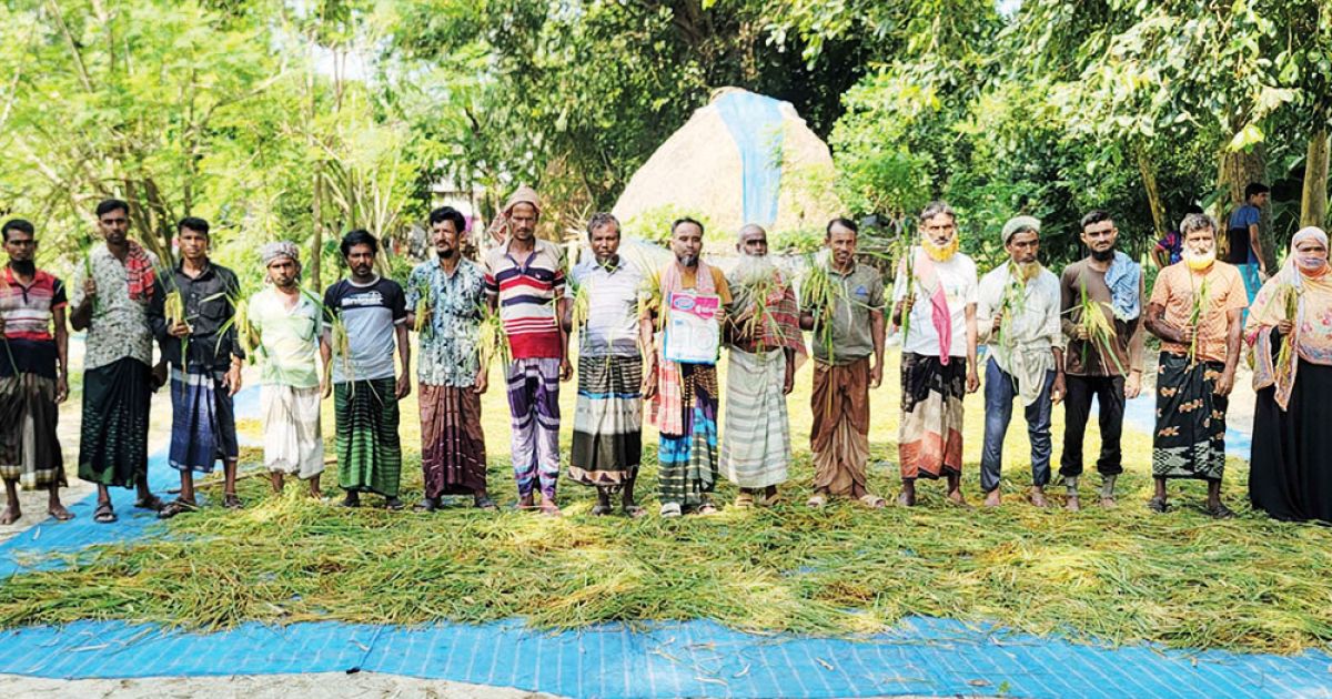 Breed-1-cultivation-of-a-lot-of-affected-farmers