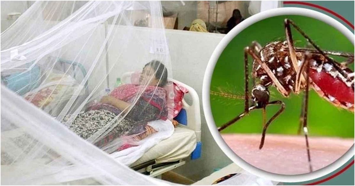 Dengue-infection-leaves-3000