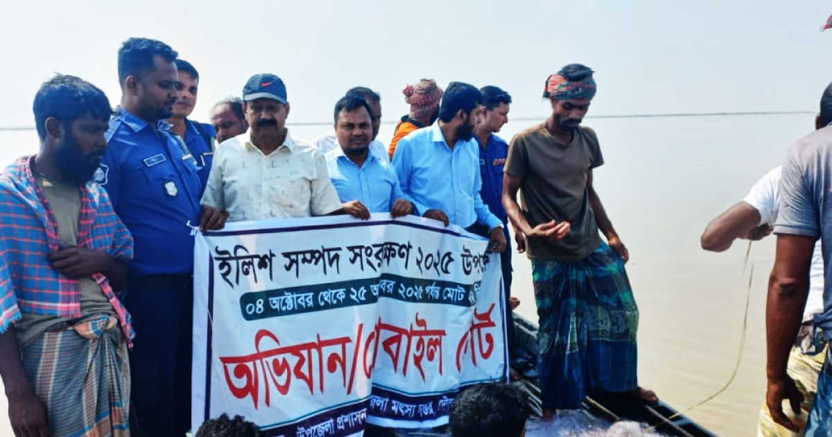 Mother-hilsa-is-a-fine-of-illegal-net-seizure-in-Daulatpur-to-protect-the-hilsa