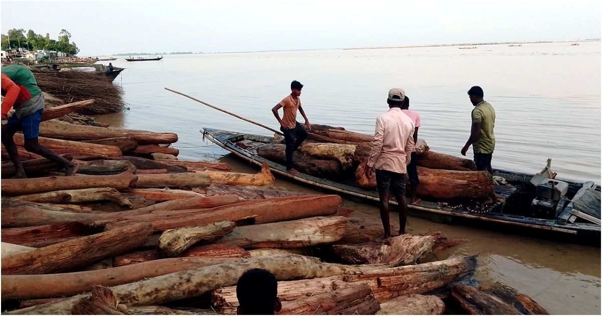 Red-sandalwood-is-being-sold-in-the-river