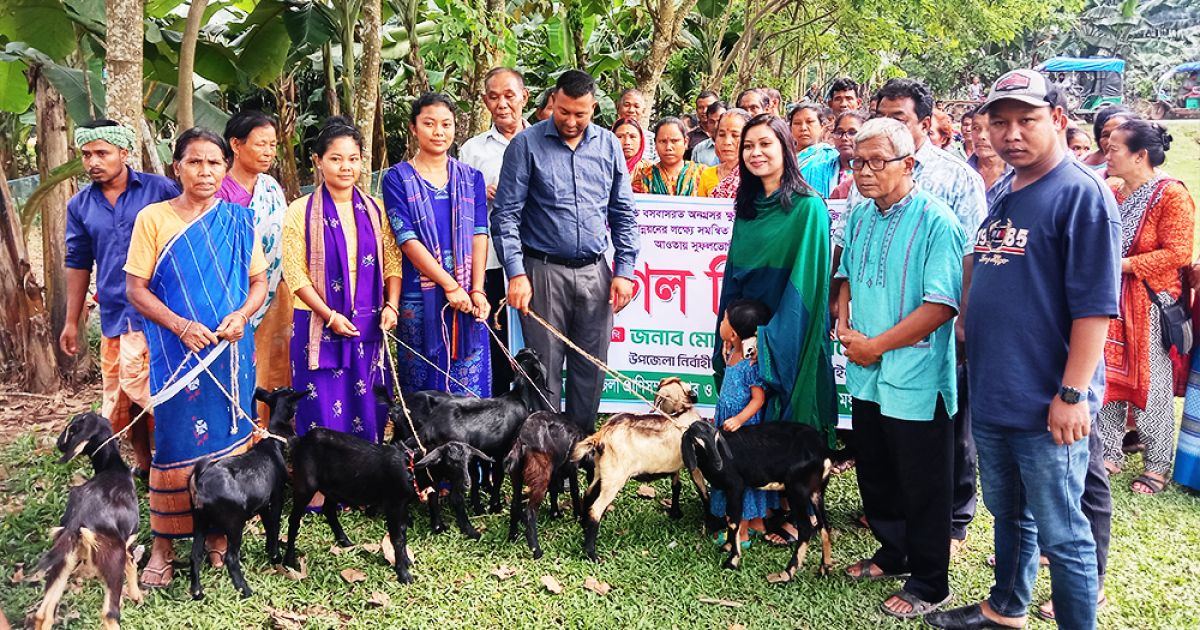 Madhupur-is-the-goat