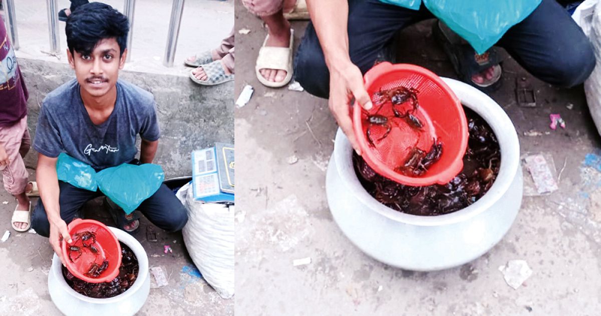 Jonaid-returned-to-exile-by-selling-crabs