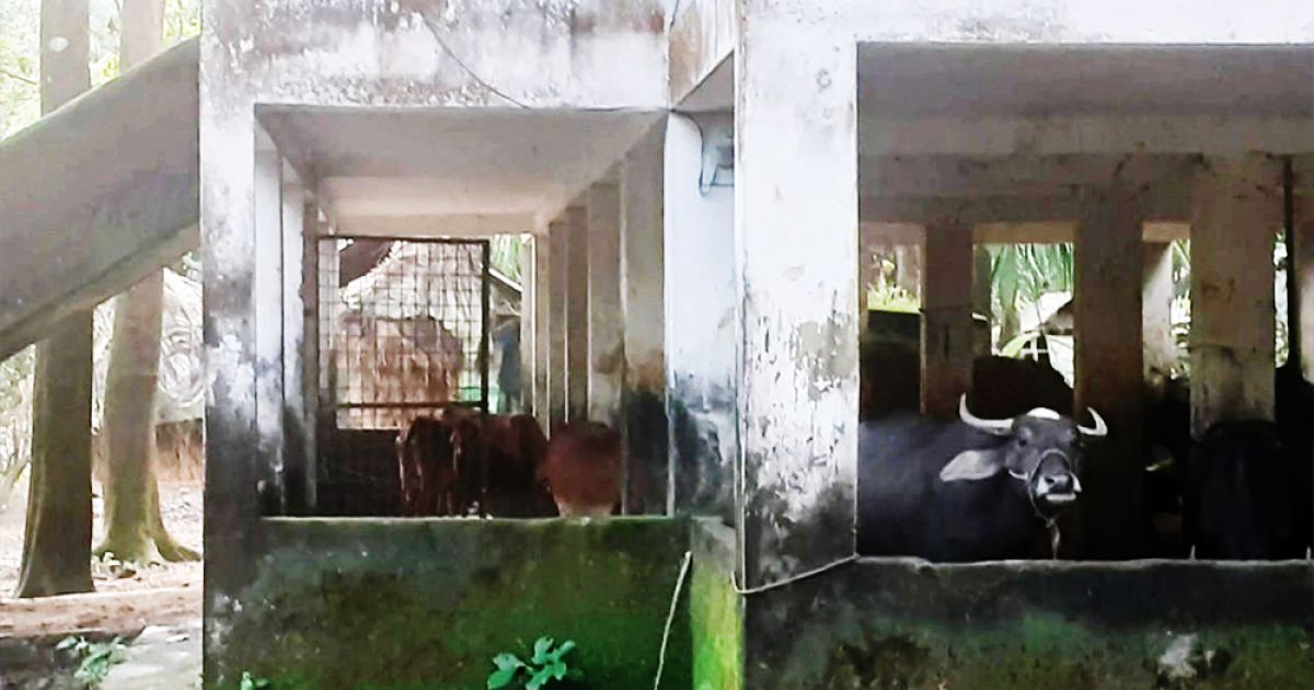 In-the-school-building-in-Amtali