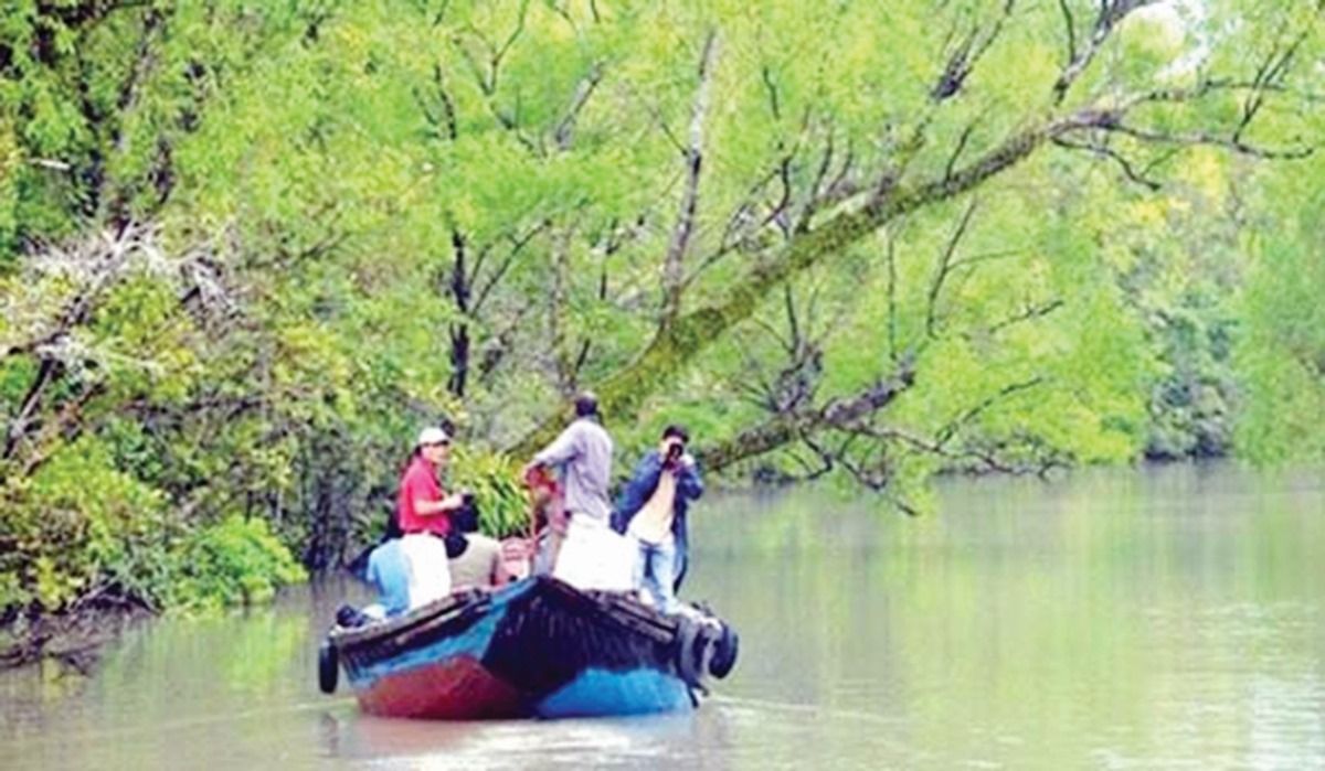Masterplan-to-raise-foreign-tourists-in-the-Sundarbans