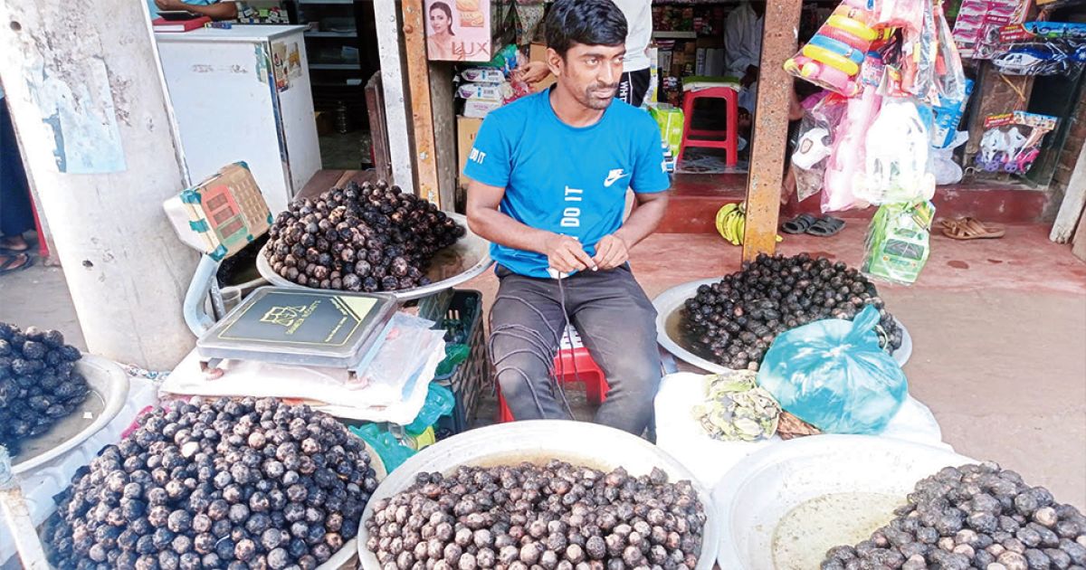 Shapala-Shaluk-born-in-the-village-of-Bengal-is-lost