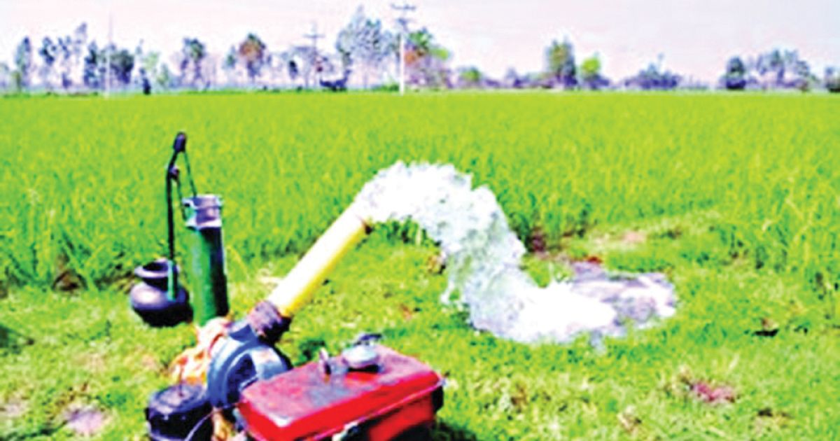 The-loss-of-billions-of-rupees-in-agriculture-in-Chuadanga