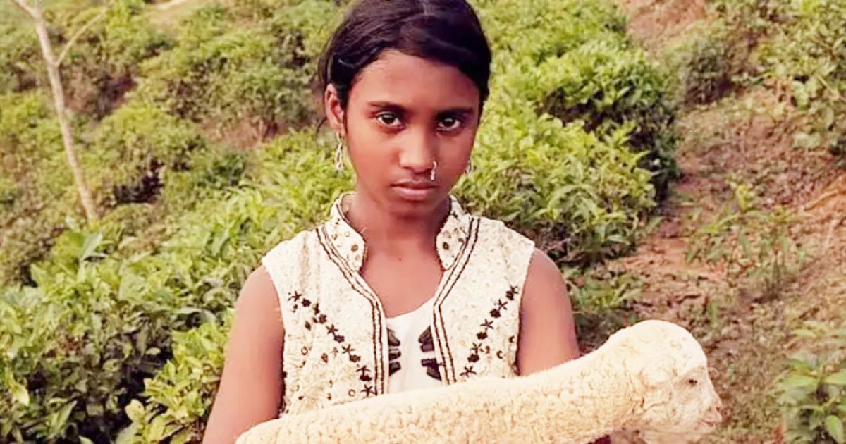 এমা-অ্যাওয়ার্ডে-প্রথমবার-পুরস্কার-জিতল-বাংলাদেশি-চলচ্চিত্র-নিশি