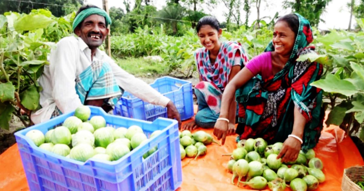 আগামীর-খাদ্য-নিরাপত্তা-ও-টেকসই-কৃষি