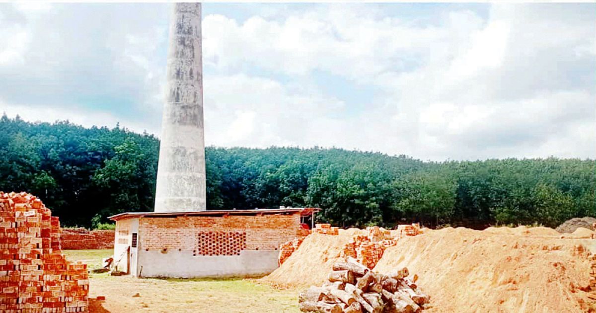 Roujans-illegal-brick-kilns-threaten-rubber-plantations