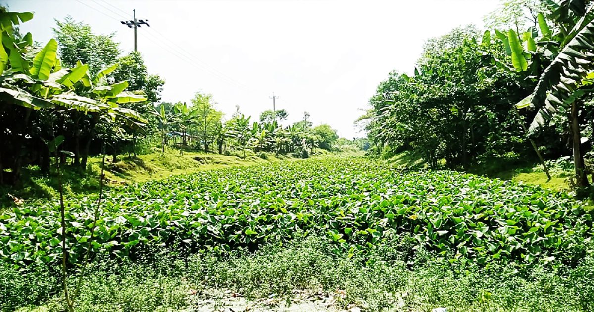 Chiri-river-in-Joypurhat-filled-again-in-3-years-of-excavation