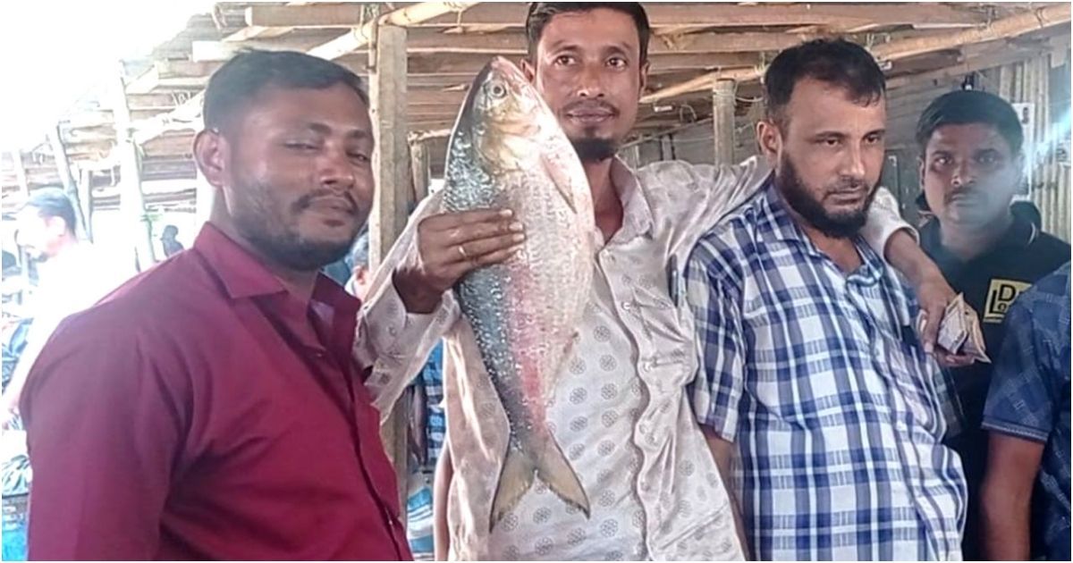 আড়াই কেজির এক ইলিশের দাম ৯২০০ টাকা