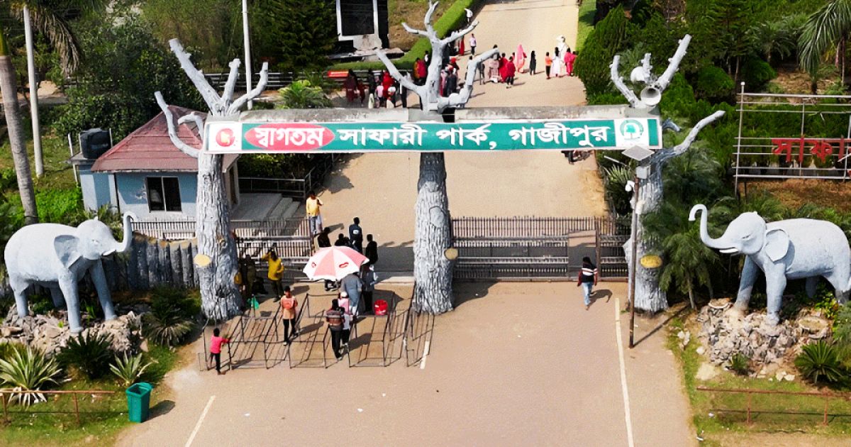 সাফারী পার্ক থেকে বিলীন হলো জিরাফের অস্তিত্ব