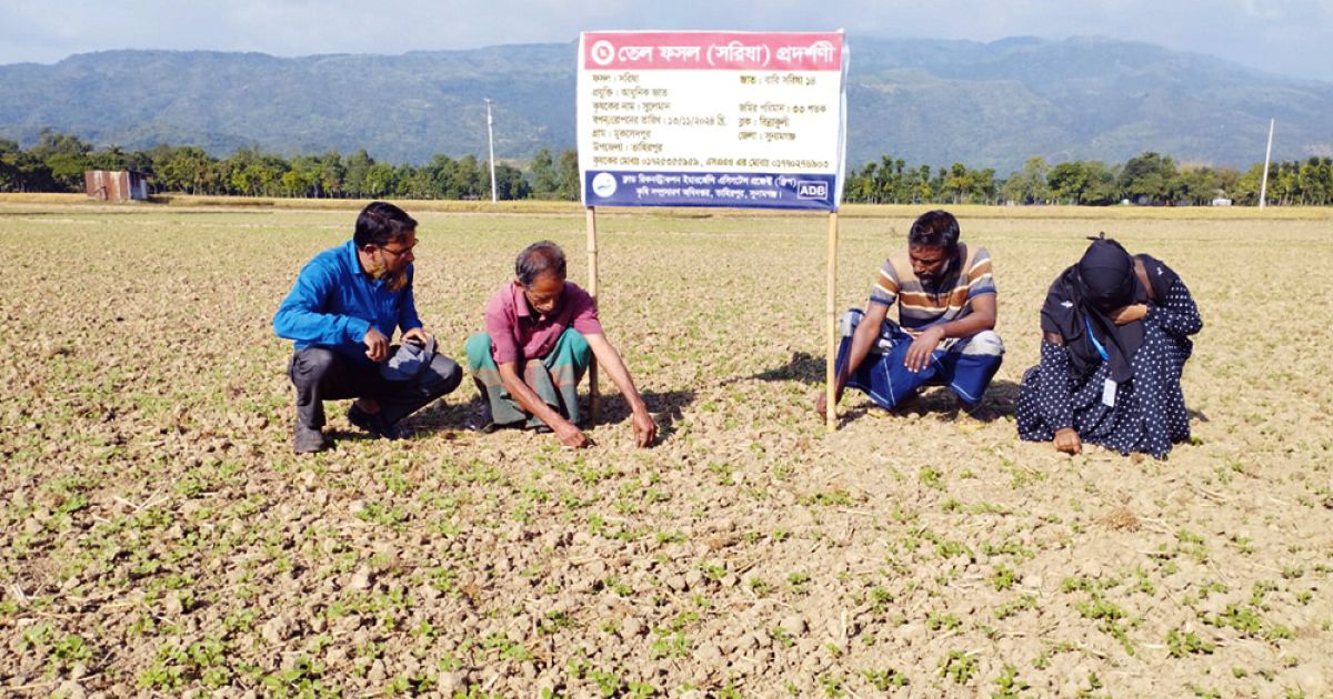 Farmers-of-Tahirpur-are-busy-in-early-winter-vegetable-cultivation