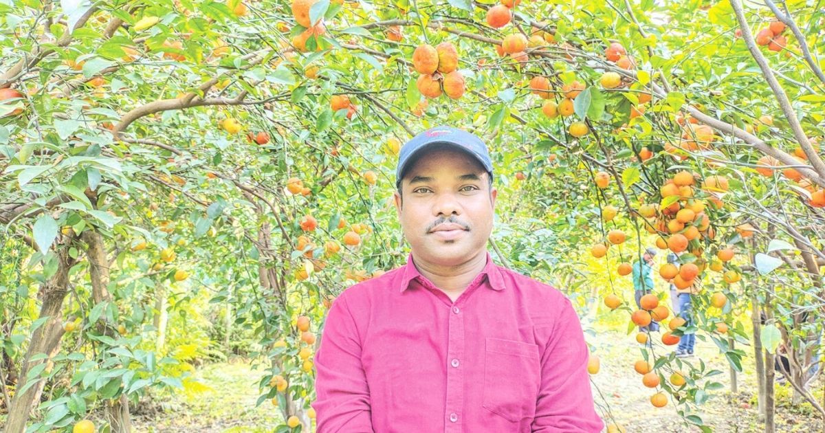 দেবীগঞ্জে নজর কেড়েছে পুলিশ কর্মকর্তার কমলা বাগান