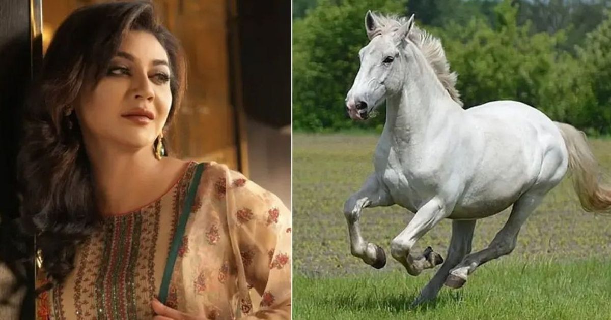 ঘোড়ার মাংসের বাণিজ্য বন্ধে হাইকোর্টে রিট জয়া আহসানসহ তিনজনের
