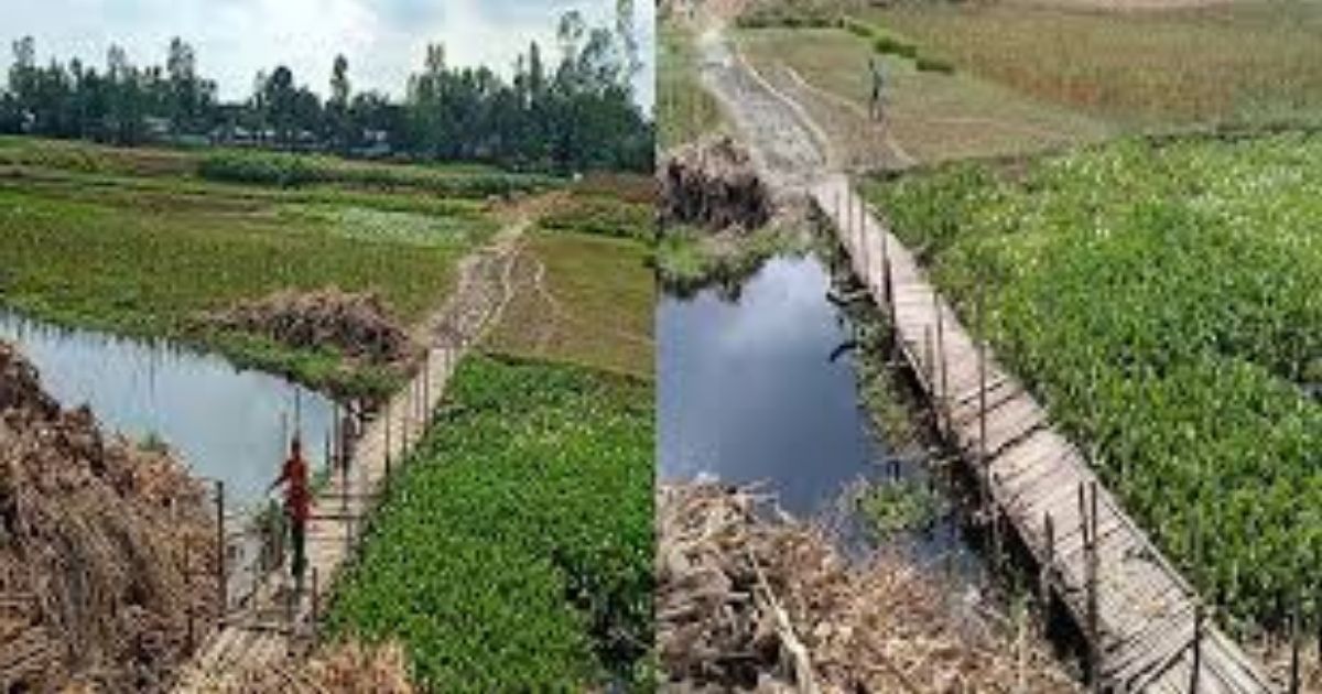 রৌমারীতে ব্রীজের অভাবে ৩০ হাজার মানুষের চরম দুর্ভোগ
