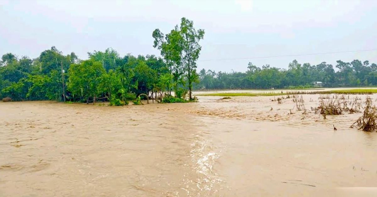 গারো পাহাড়ের ঢলে কৃষকের স্বপ্নভঙ্গ, হালুয়াঘাটে পানিবন্দি হাজারো মানুষ