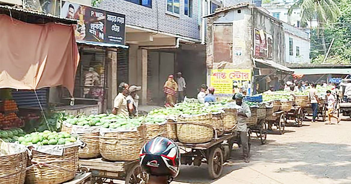 বাজারে উঠতে শুরু করেছে সাতক্ষীরার হিমসাগর আম, মোকামে ভিড়ছেন পাইকাররা