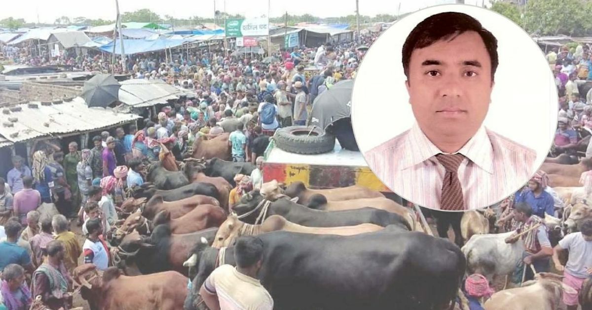 কোরবানির পশু থেকে মানুষে ছড়াতে পারে প্রাণঘাতী রোগ, সতর্ক করলেন বাকৃবি অধ্যাপক 