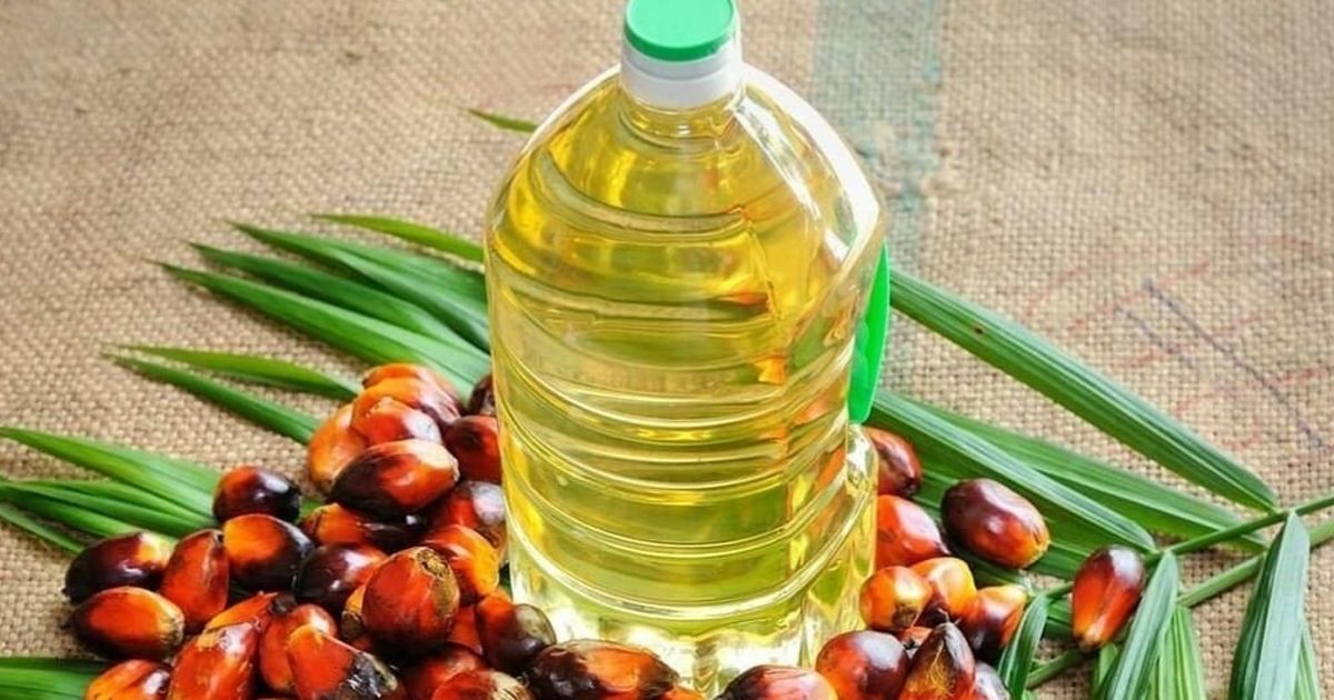 মালয়েশিয়ান পাম অয়েলের দরবৃদ্ধি