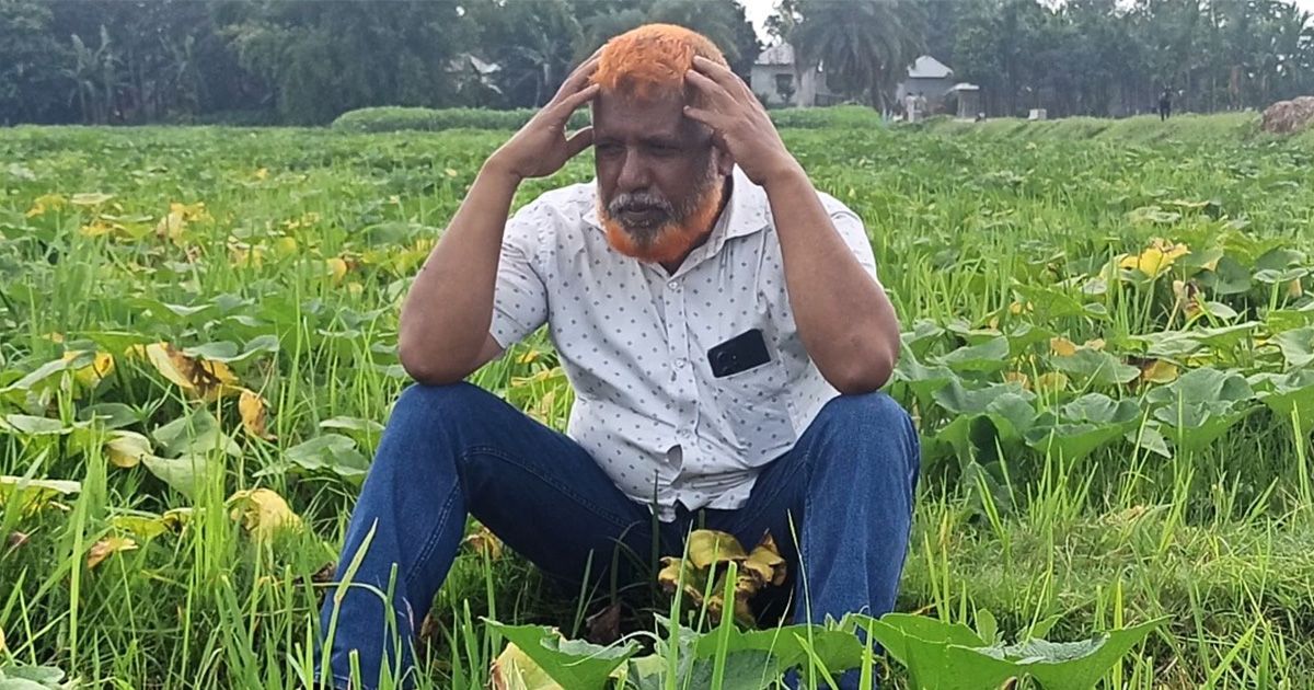 ৪০ লাখ টাকা বিনিয়োগ: পঞ্চগড়ে ১৮০ বিঘা জমিতে নেই ফসল, কৃষি উদ্যোগতা সাজ্জাদের মাথায় হাত