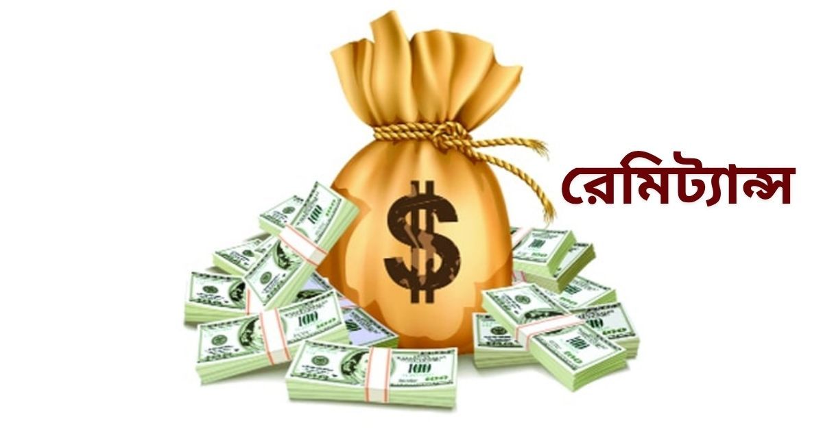 ১৯ দিনেই দেশে এল ২৪৮ কোটি ডলার রেমিট্যান্স