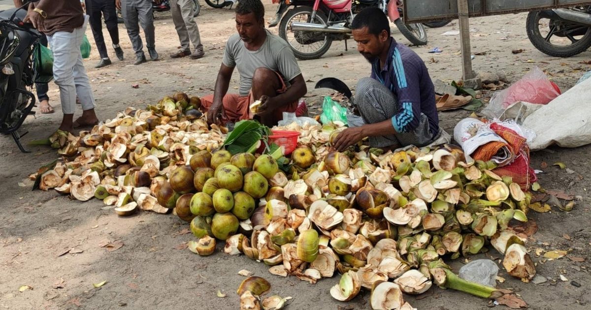 প্রচন্ড গরমে কদর বেড়েছে তালের শাঁসের 