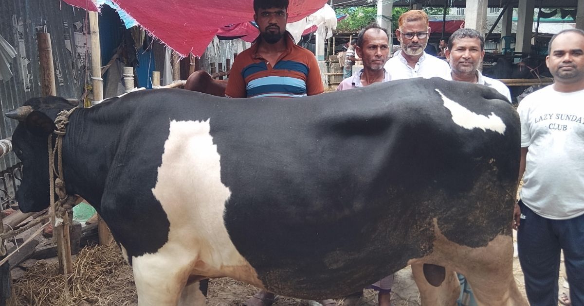 দশ লক্ষ টাকা দাম হাকা হলো মাদারীপুরের কালাপাহাড়ের