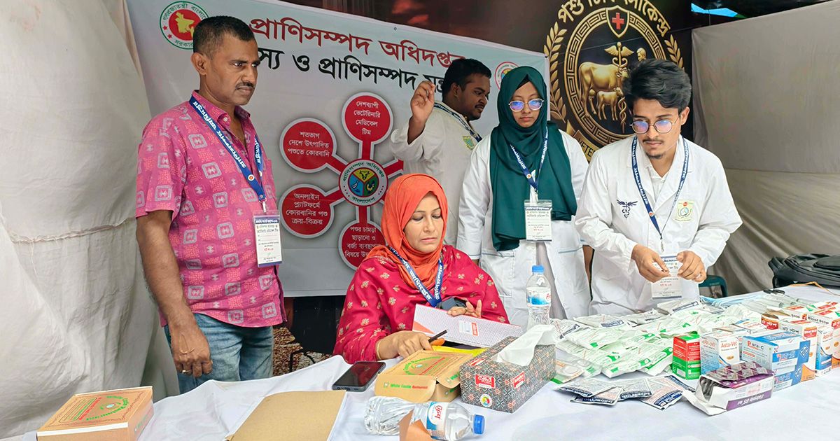 রাজধানীতে বাকৃবির শিক্ষার্থীরা দিচ্ছেন পশুর হাটে চিকিৎসাসেবা
