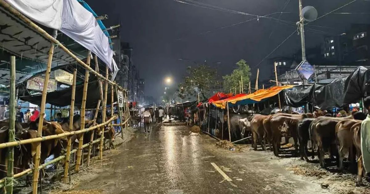 বৃষ্টিতে ছন্নছাড়া রাজধানীর পশুর হাট