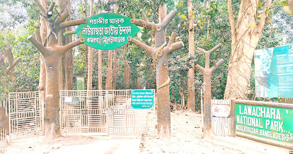 ঈদের ছুটিতে ভ্রমণপিপাসুদের জন্য প্রস্তুত মৌলভীবাজারের পর্যটন কেন্দ্রগুলো