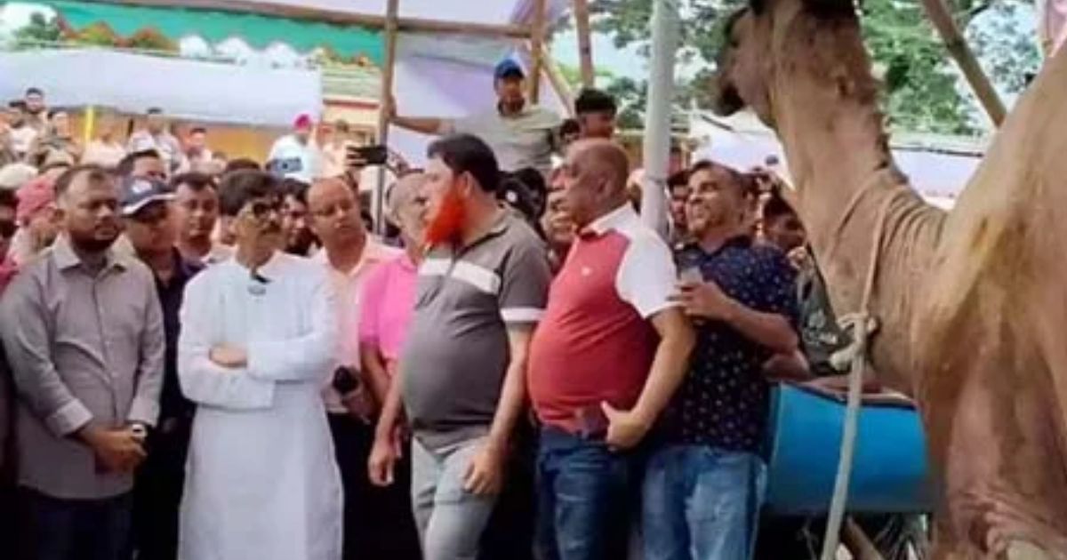 এবার ঈদে প্রায় ১ কোটি পশু কুরবানি হবে: প্রাণিসম্পদমন্ত্রী