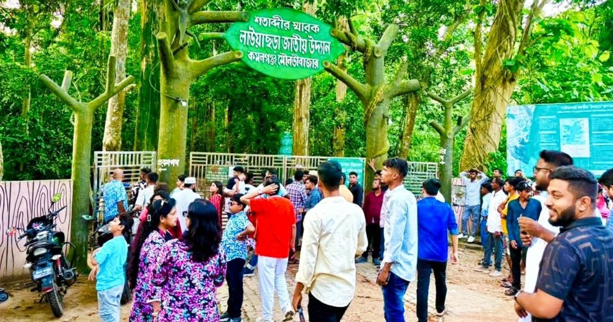 ঈদের ছুটিতে মুখরিত চিরসবুজ বন, লাউয়াছড়ায় ৪ দিনে ৪ হাজার পর্যটক
