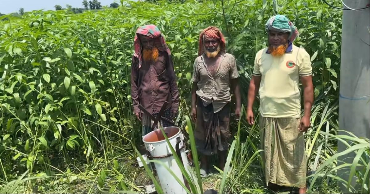 মেহেরপুরে এক রাতেই ৭টি বৈদ্যুতিক ট্রান্সফরমার চুরি, বন্ধ সেচকাজ