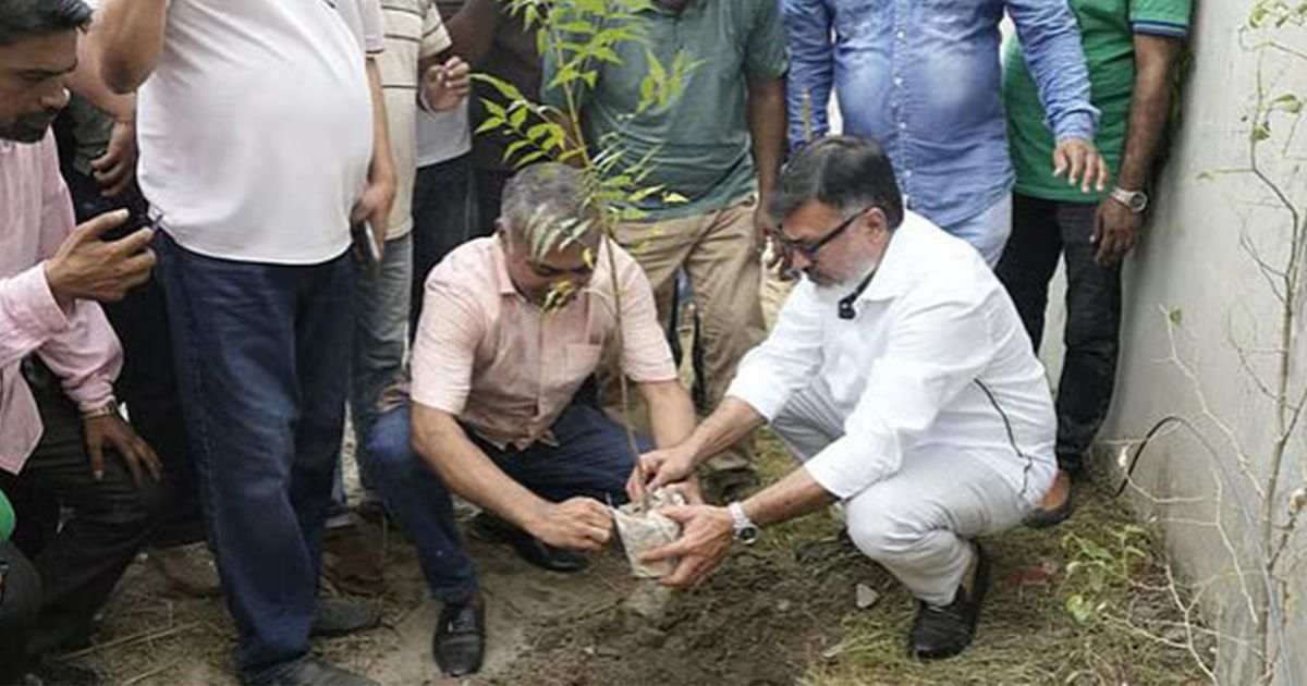 তেজগাঁওয়ে কোরবানির পশুর অস্থায়ী হাটের জায়গায় বৃক্ষরোপণের উদ্যোগ