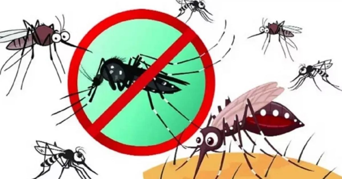Prevention-of-mosquito-borne-diseases-including-dengue-
Reorganization-of-the-National-Committee