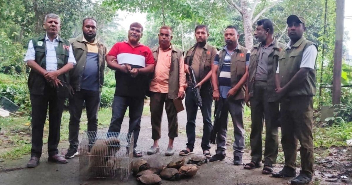 চকরিয়ায় বনবিভাগের অভিযানে মুখপোড়া হনুমানসহ ১২ কচ্ছপ উদ্ধার 