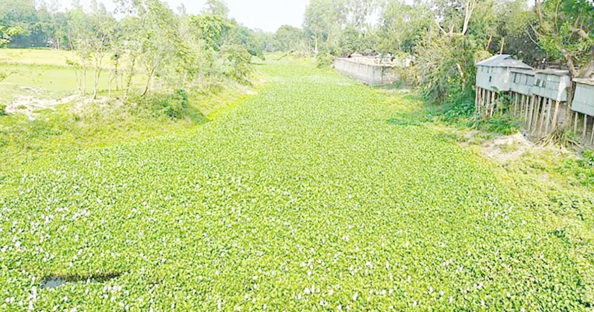 Gaibandhars-Alai-river-under-increasing-threat-of-encroachment-and-pollution