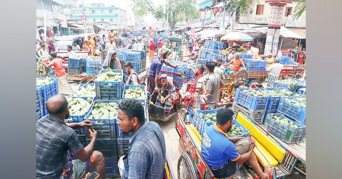 Recession-in-Naogaon-mango-market-Gardeners-are-disappointed-not-getting-the-price-as-expected