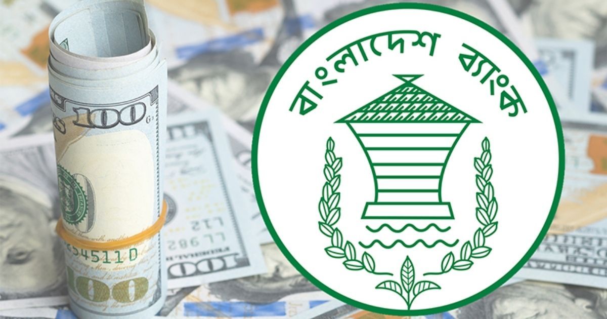 Net-foreign-exchange-reserves-in-the-country-are-3123-billion-dollars