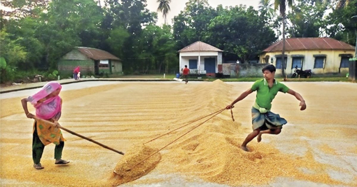 Buyers-in-trouble-in-the-rice-market